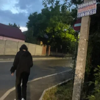 Sticker cat lovers - 9