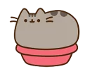 Sticker Pusheen - 10