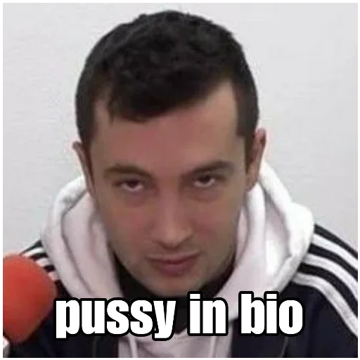 Стикер pussi_in_bio - 1