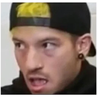 Стикер пусси ин био - 3