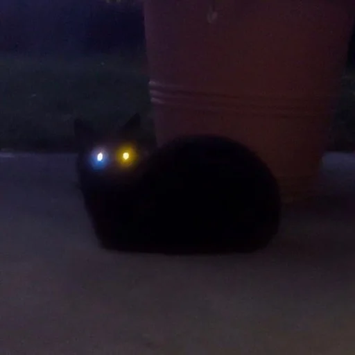 ground soft drink dark