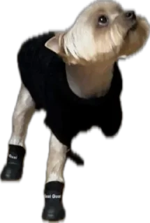 Стикер жопь Мишки - 8