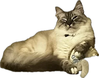 Стикер жопь Мишки - 7