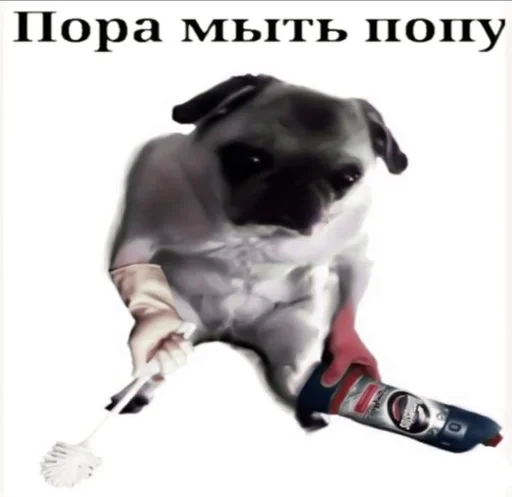 Стикер `драгоценному риверу.♡︎ :: @fStikBot - 11