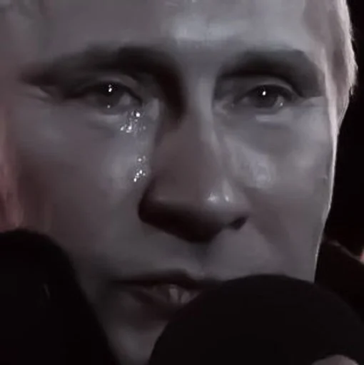 human face eyebrow person