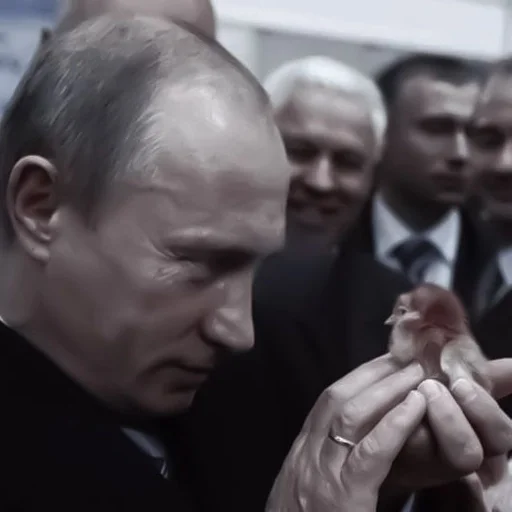 person human face man