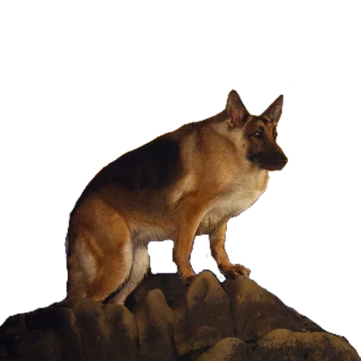 Sticker PU$$YINVADERZ - 7