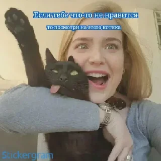 Стикер дичь - 1