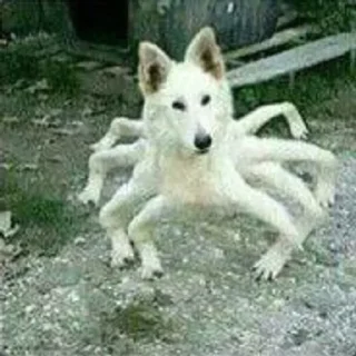 Sticker Больше стиков тут: @stikery4 - 4