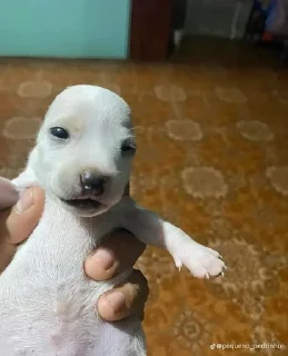 Sticker Больше стиков тут: @stikery4 - 8