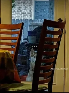 Sticker Больше стиков тут: @stikery4 - 3