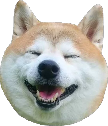 животное млекопитающее рыло