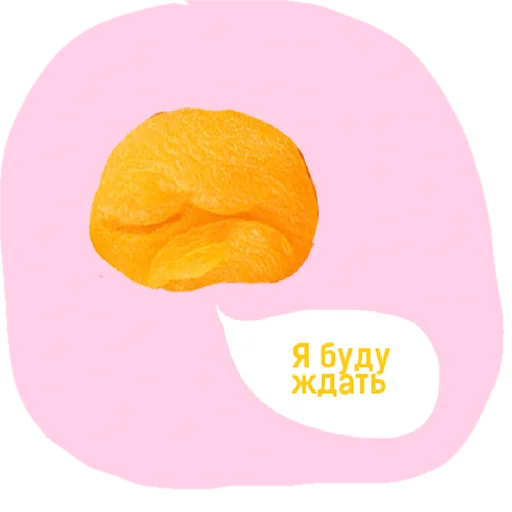 fruit food orange