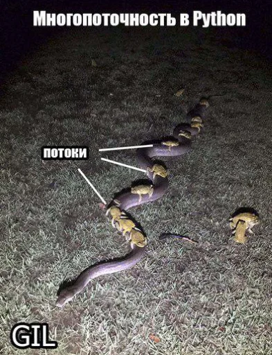 животное змея млекопитающее