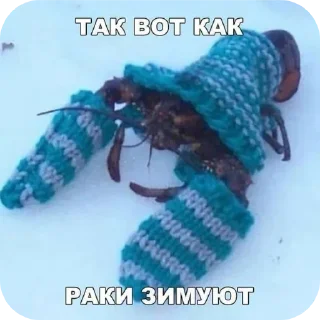 Стикер Больше стикеров 👉🏻 @stickertg4 - 5