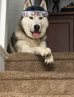 Sticker Bonbiwaffen (@CalsiBot) - 10