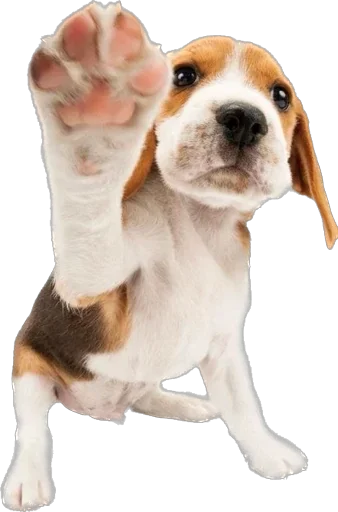 Sticker qDpnHjhgLdHzioV_by_stickers_stealer_bot - 1