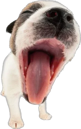 Sticker qDpnHjhgLdHzioV_by_stickers_stealer_bot - 1