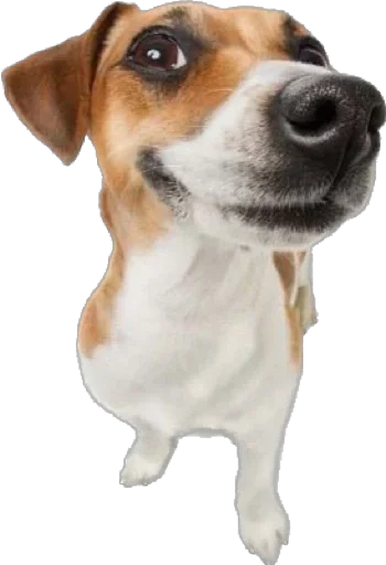 Стикер qDpnHjhgLdHzioV_by_stickers_stealer_bot - 1