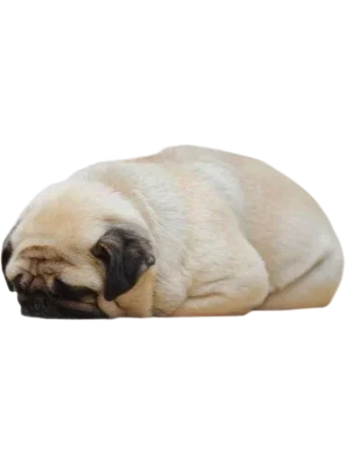 Sticker qDpnHjhgLdHzioV_by_stickers_stealer_bot - 1