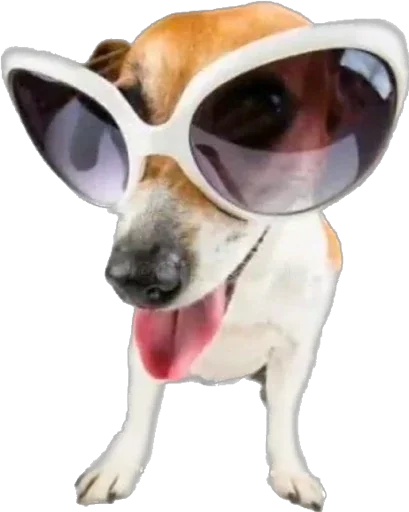 Sticker qDpnHjhgLdHzioV_by_stickers_stealer_bot - 1