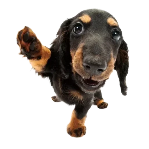 Sticker qDpnHjhgLdHzioV_by_stickers_stealer_bot - 1