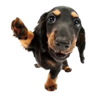 Sticker Больше стикеров 👉🏻 @stickertg4 - 1