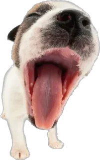 Sticker Больше стикеров 👉🏻 @stickertg4 - 8