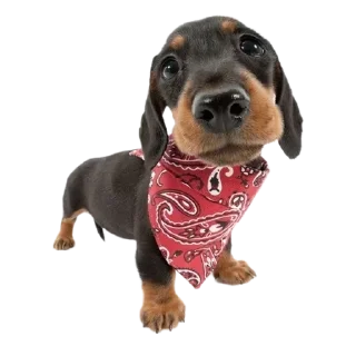 Sticker Больше стикеров 👉🏻 @stickertg4 - 3