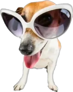 Sticker Больше стикеров 👉🏻 @stickertg4 - 4