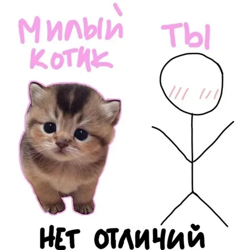 💕Стики тут: @sekstick - 