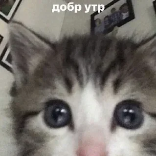 Sticker 💕Стики тут: @sekstick - 6