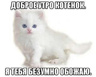 Sticker 💕Стики тут: @sekstick - 10