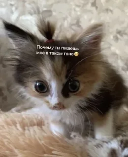 Sticker 💕Стики тут: @sekstick - 4