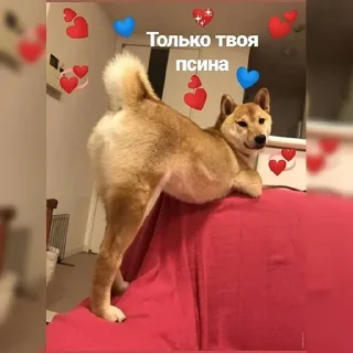 Стикер Создано в @sozdsti_bot - 11