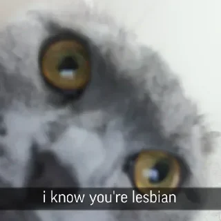 Sticker Больше стикеров 👉🏻 @stickertg4 - 2