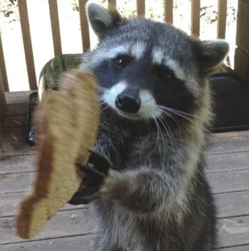 Стикер qFNyRrahmw_by_WmojiBot - 1