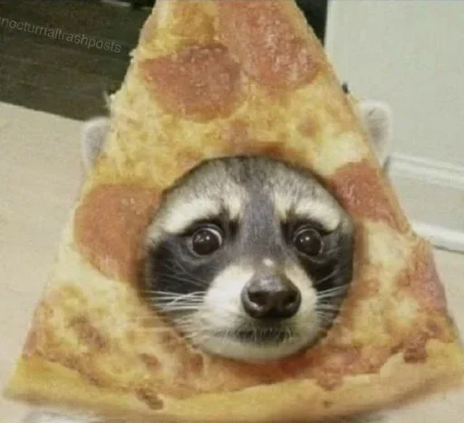 Стикер qFNyRrahmw_by_WmojiBot - 1