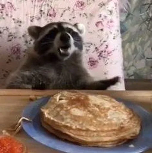 Стикер qFNyRrahmw_by_WmojiBot - 1