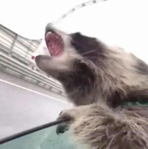 Sticker qFNyRrahmw_by_WmojiBot - 1