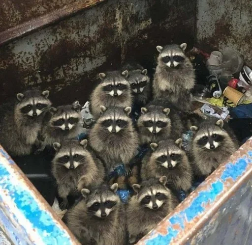 Стикеры тут 👉 @Femoji - 