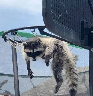 Стикер Стикеры тут 👉 @Femoji - 7