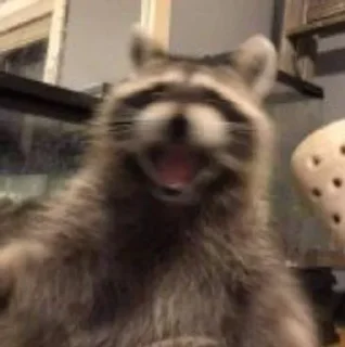 Стикер Стикеры тут 👉 @Femoji - 10