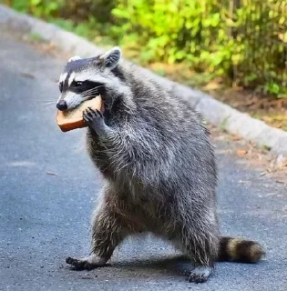 Стикер Стикеры тут 👉 @Femoji - 8