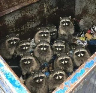 Стикер Стикеры тут 👉 @Femoji - 2