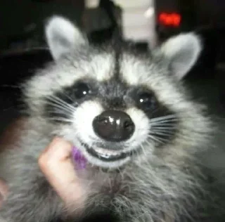 Стикер Стикеры тут 👉 @Femoji - 3