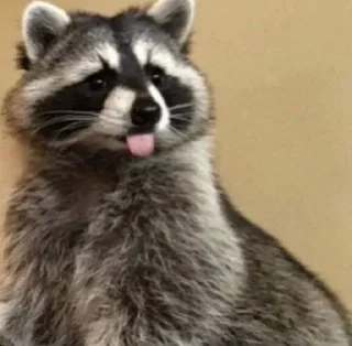 Стикер Стикеры тут 👉 @Femoji - 5