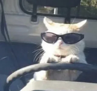 Стикер Больше стиков тут: @stikery4 - 6