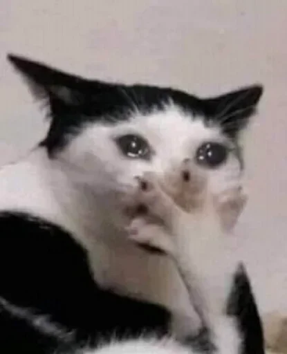 Sticker qOtyQklYuXJxuT_by_stickers_stealer_bot - 1