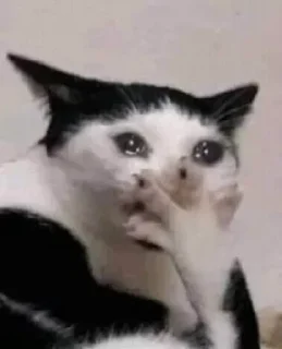 Стикер Больше стикеров 👉🏻 @stickertg4 - 11